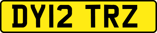 DY12TRZ
