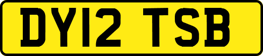 DY12TSB