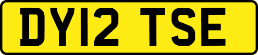 DY12TSE