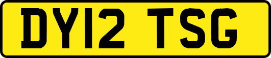 DY12TSG