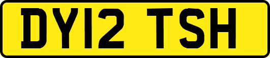 DY12TSH