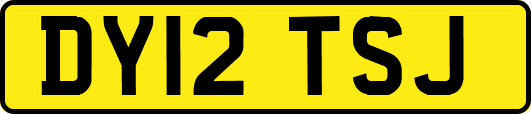DY12TSJ