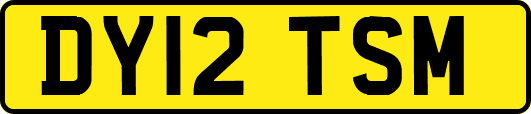 DY12TSM