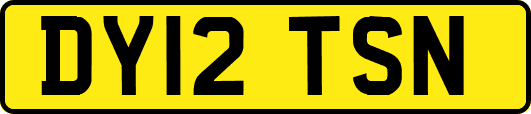 DY12TSN