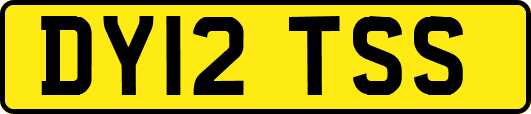 DY12TSS