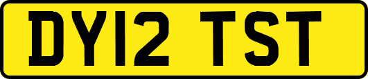 DY12TST