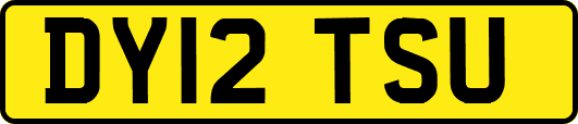 DY12TSU