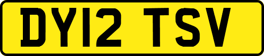 DY12TSV