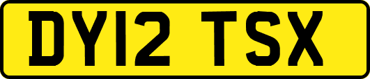 DY12TSX