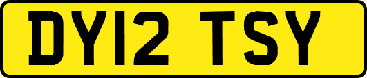 DY12TSY