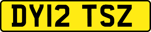 DY12TSZ