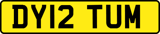 DY12TUM