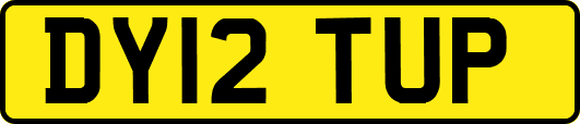 DY12TUP