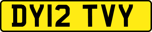 DY12TVY
