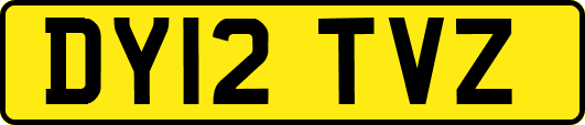 DY12TVZ