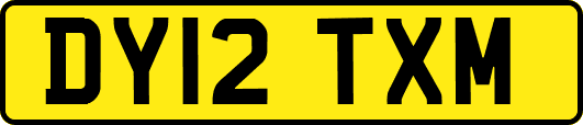 DY12TXM