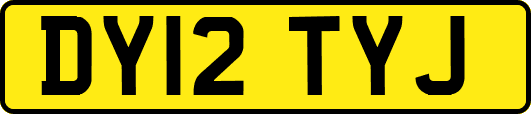 DY12TYJ