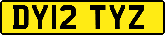 DY12TYZ