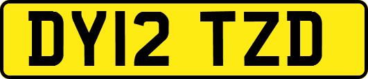 DY12TZD