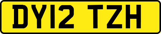 DY12TZH
