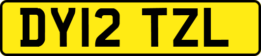 DY12TZL