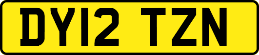 DY12TZN