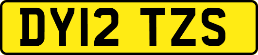 DY12TZS