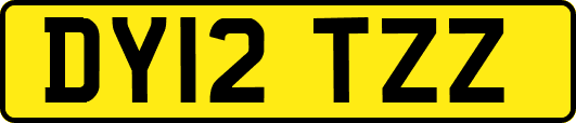 DY12TZZ