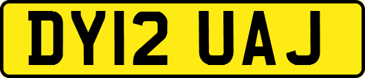 DY12UAJ