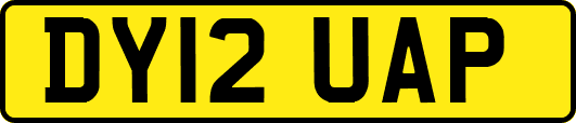 DY12UAP