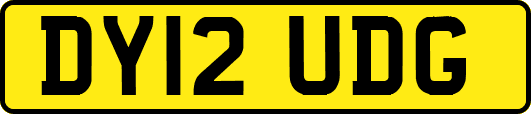 DY12UDG