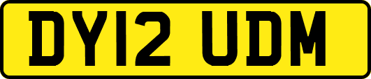 DY12UDM