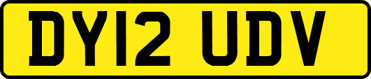 DY12UDV