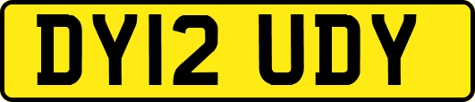 DY12UDY