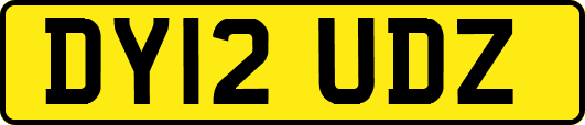 DY12UDZ