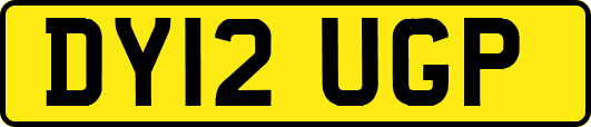 DY12UGP