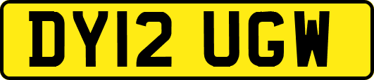 DY12UGW