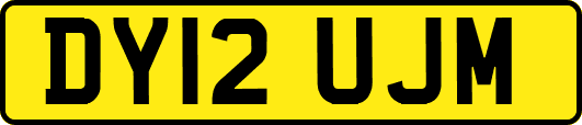 DY12UJM
