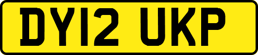 DY12UKP