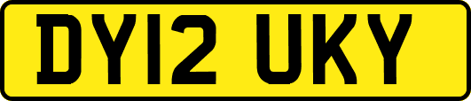 DY12UKY