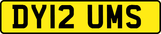 DY12UMS