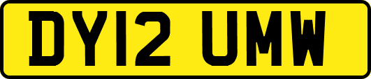 DY12UMW