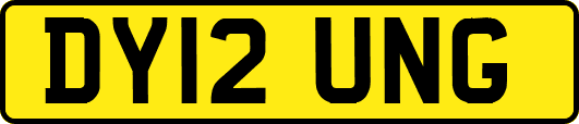 DY12UNG