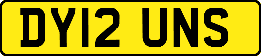 DY12UNS