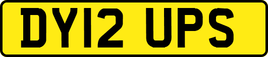 DY12UPS
