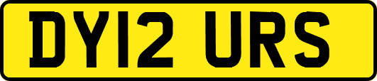 DY12URS