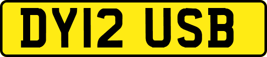 DY12USB