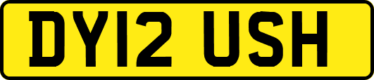 DY12USH