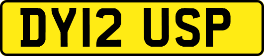 DY12USP