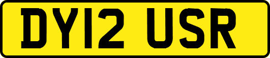 DY12USR